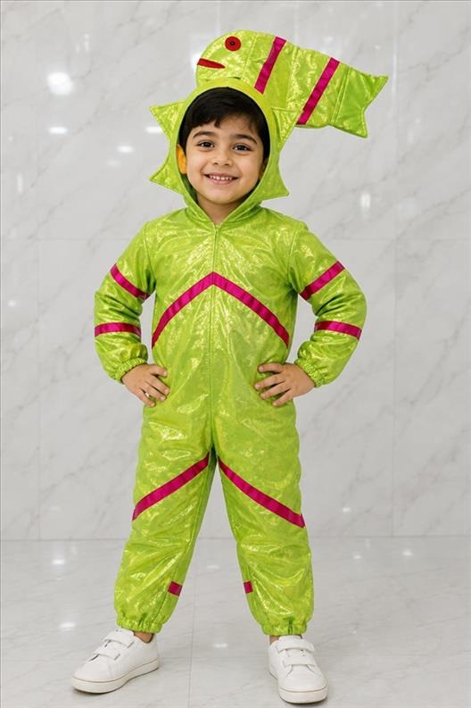 Kids Costume