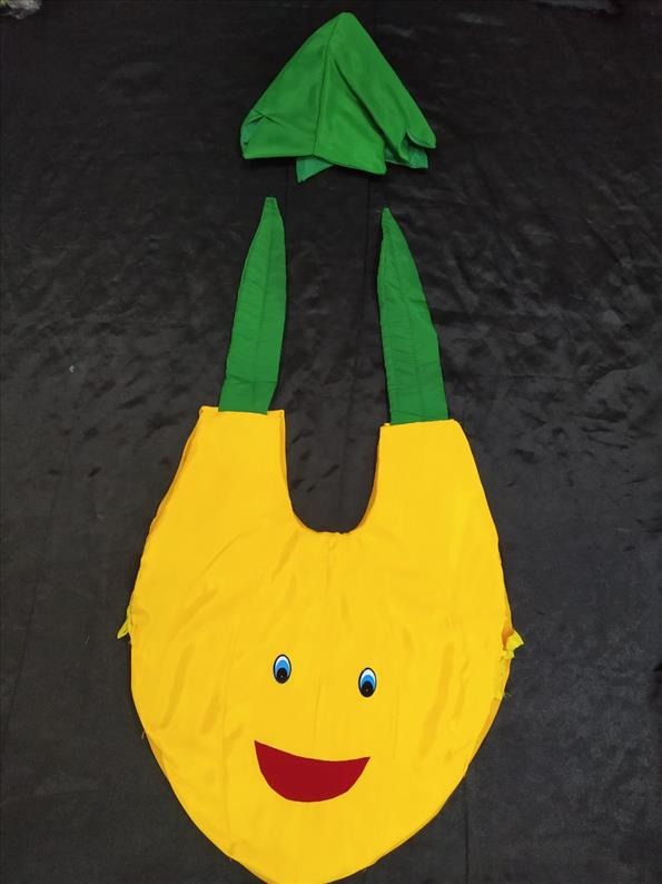 Kids Costume