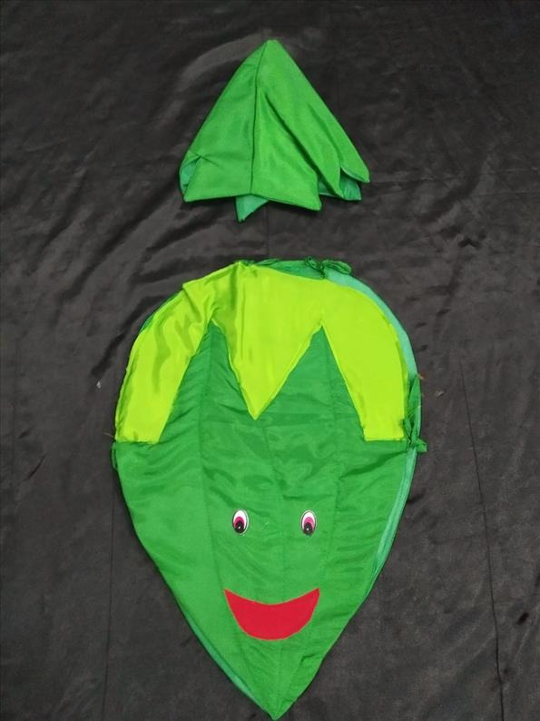 Kids Costume