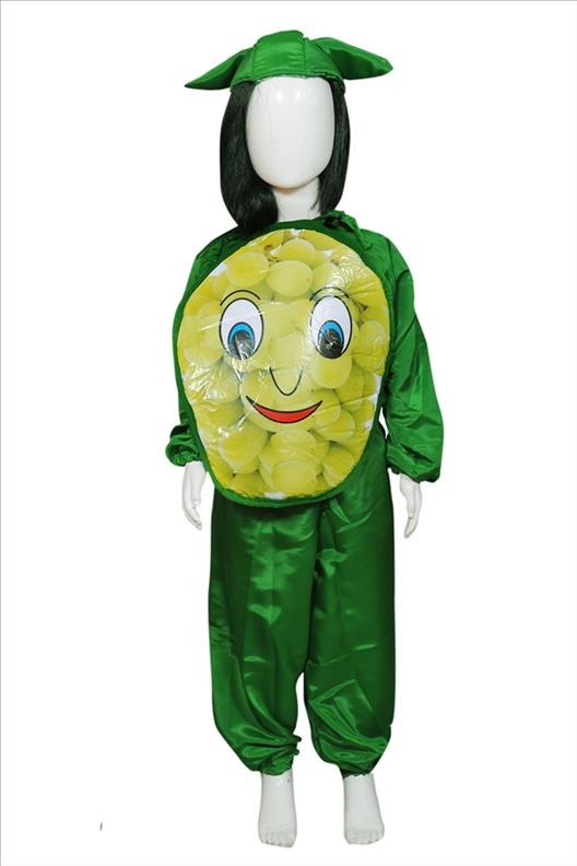 Kids Costume
