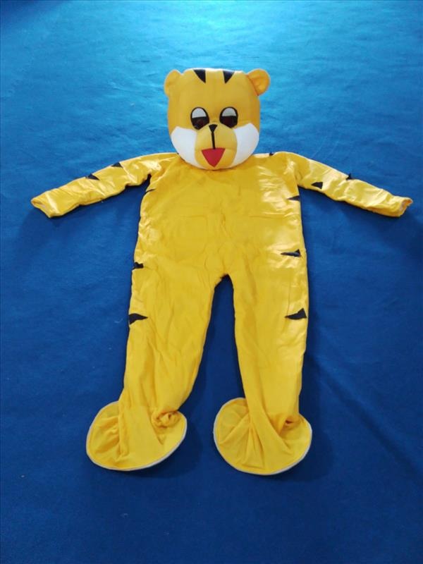 Kids Costume