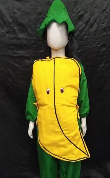 Kids Costume