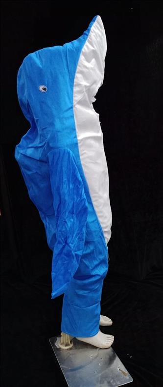 Kids Costume