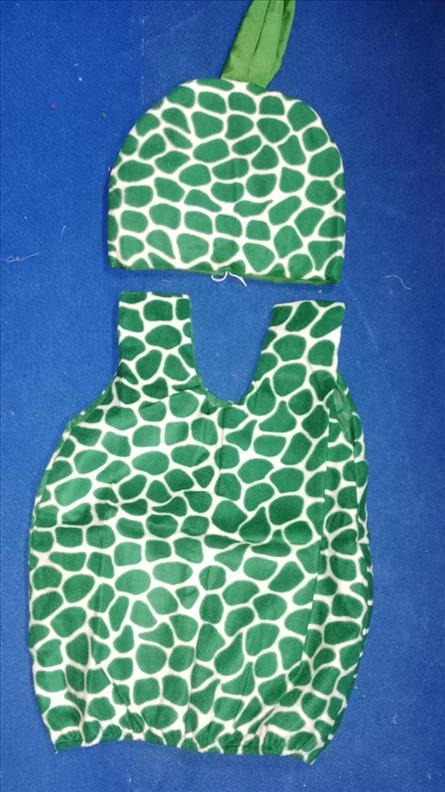 Kids Costume