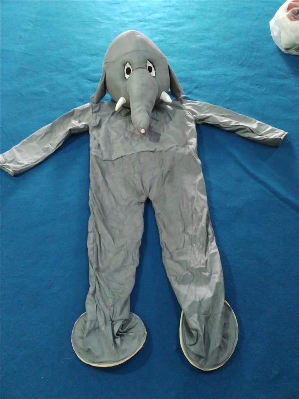 Kids Costume