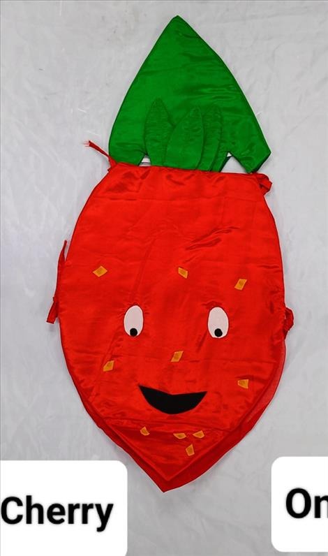 Kids Costume