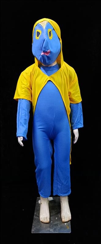 Kids Costume
