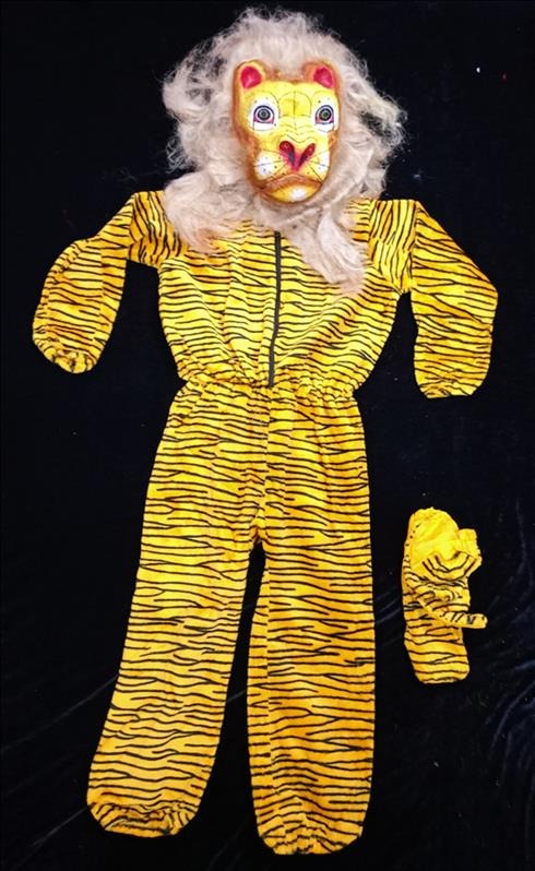 Kids Costume