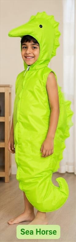 Kids Costume