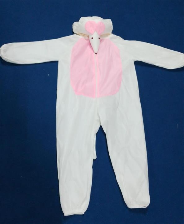 Kids Costume