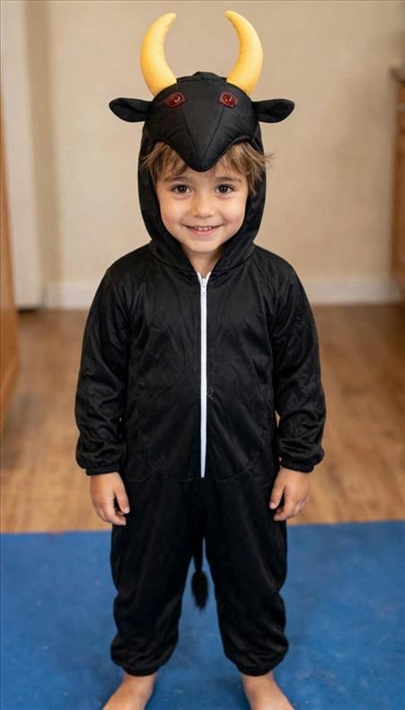Kids Costume