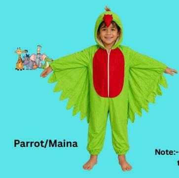 Kids Costume